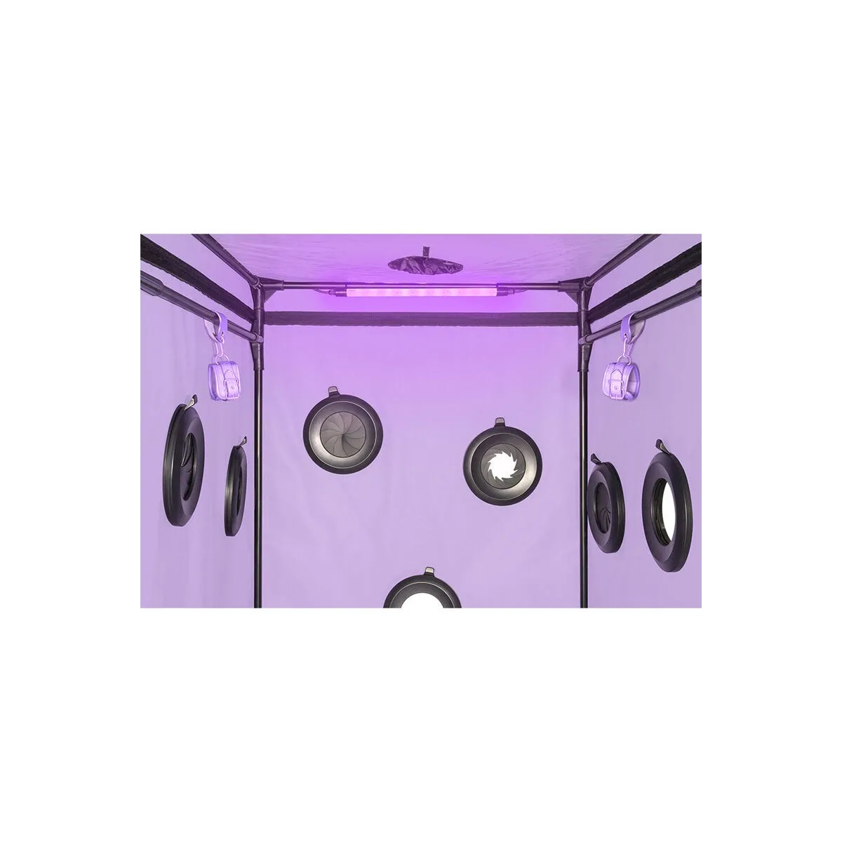 Kink Club Cabin Scandale Lila von Secret Dome | Fesselliebe.de