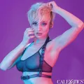 Euphoria Halfterschnallengeschirr Schwarz von Calexotics