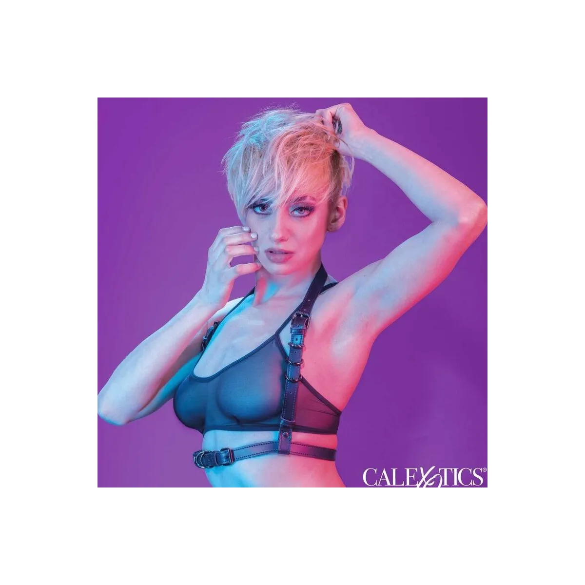 Euphoria Halfterschnallengeschirr Schwarz von Calexotics | Fesselliebe.de