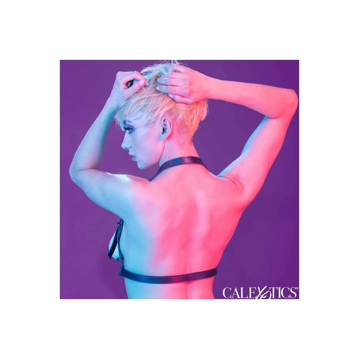 Euphoria Halfterschnallengeschirr Schwarz von Calexotics | Fesselliebe.de
