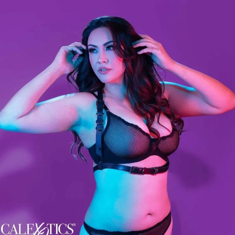 Euphoria Plus Size Halter Buckle Harness Schwarz von Calexotics | Fesselliebe.de