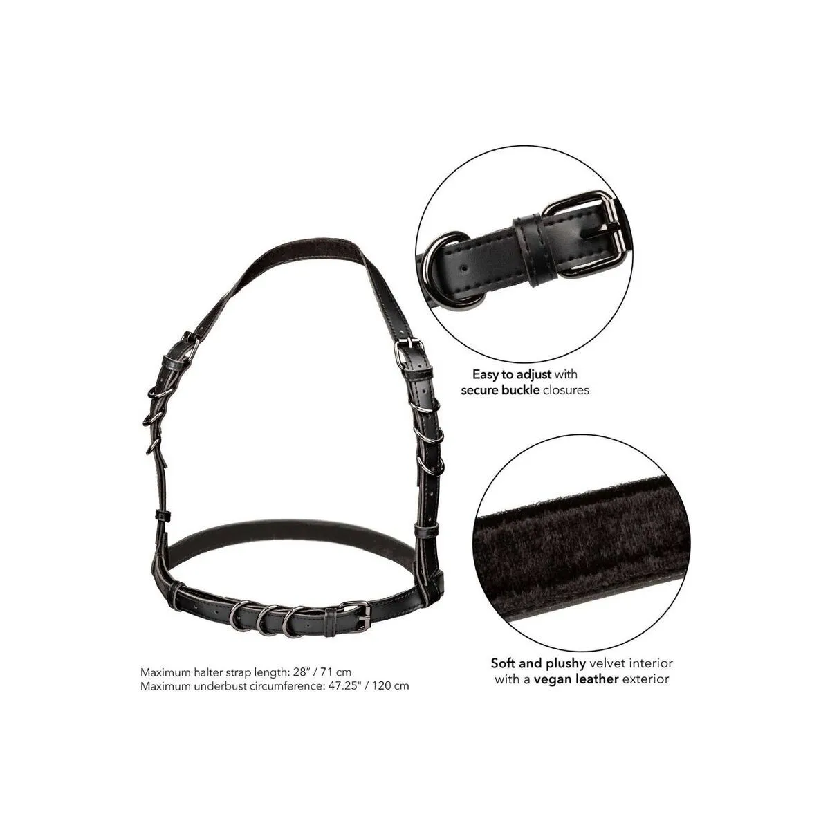 Euphoria Plus Size Halter Buckle Harness Schwarz von Calexotics | Fesselliebe.de