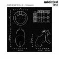 Mindnight Cell Penis Cage Grösse S von Addicted Toys Locked