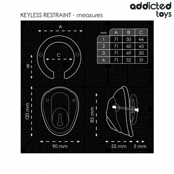 Schlüsselloser Peniskäfig 11,5 cm von Addicted Toys Locked | Fesselliebe.de