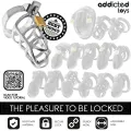 Silberner Peniskäfig aus Metall, Grösse S von Addicted Toys Locked