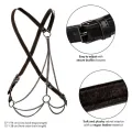 Euphoria Multichain Harness Premium von Calexotics