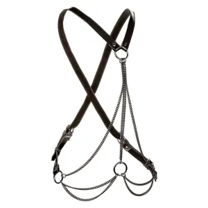 Euphoria Multichain Harness Premium Übergrösse von Calexotics