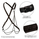 Euphoria Multichain Harness Premium Übergrösse von Calexotics | Fesselliebe.de