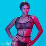 Euphoria Multichain Halter Harness Premium von Calexotics | Fesselliebe.de