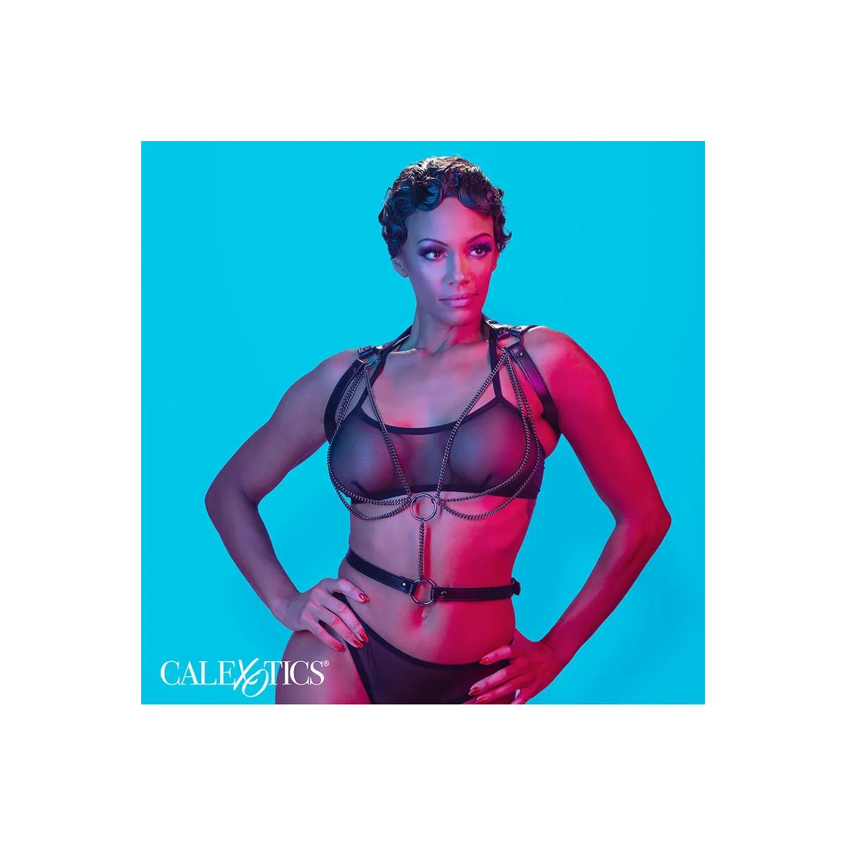 Euphoria Multichain Halter Harness Premium von Calexotics | Fesselliebe.de