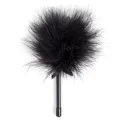 Mini Schwarzer Staubwedel von Secretplay 100% Fetish