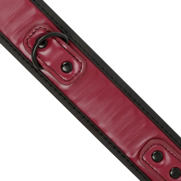 Kettenhalskette mit Neoprenfutter von Fetish Submissive Dark Room | Fesselliebe.de