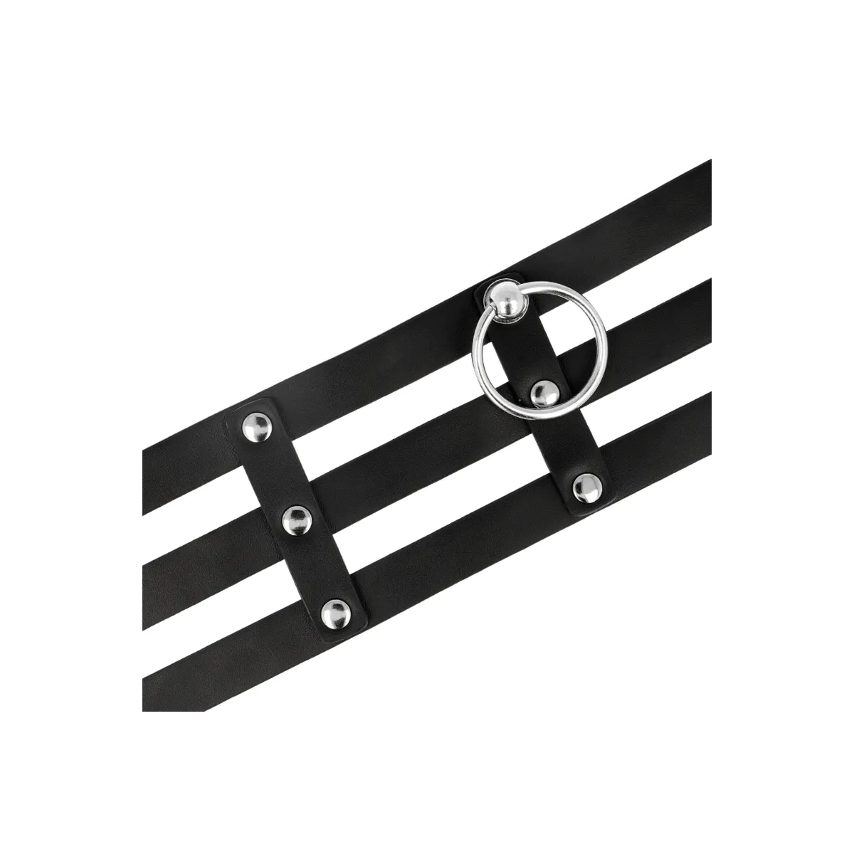 Veganes Leder-Halsband Im Fetisch-Stil von Coquette Accessories | Fesselliebe.de