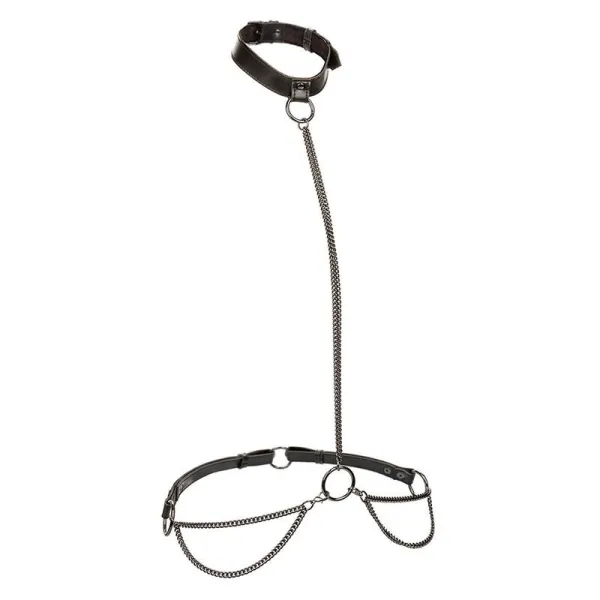 Euphoria Kettenhalfterhalsband und Leine Übergrösse von Calexotics | Fesselliebe.de