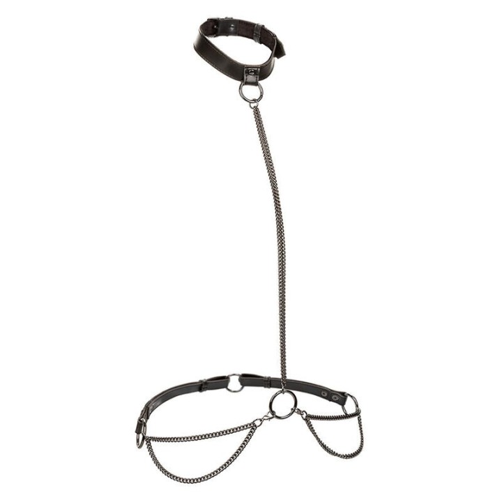 Euphoria Kettenhalfterhalsband und Leine Übergrösse von Calexotics | Fesselliebe.de