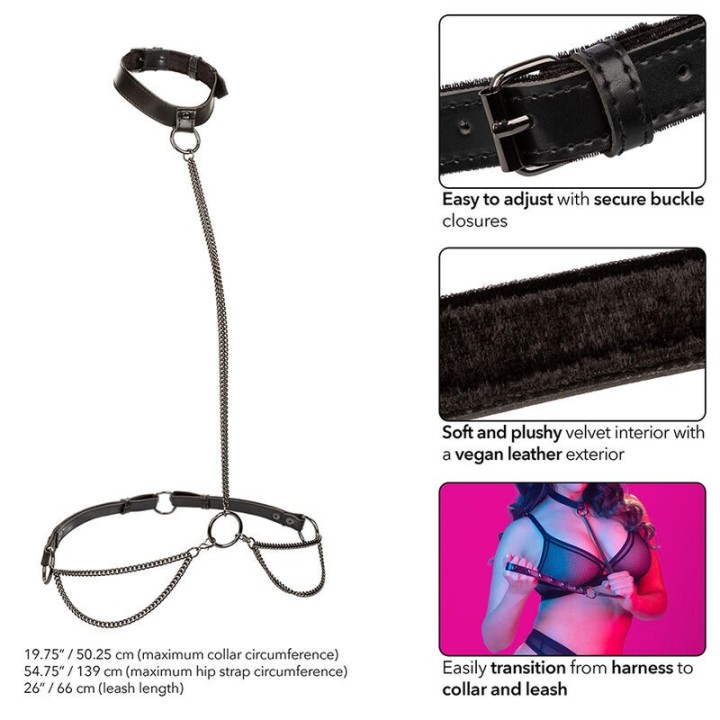 Euphoria Kettenhalfterhalsband und Leine Übergrösse von Calexotics | Fesselliebe.de