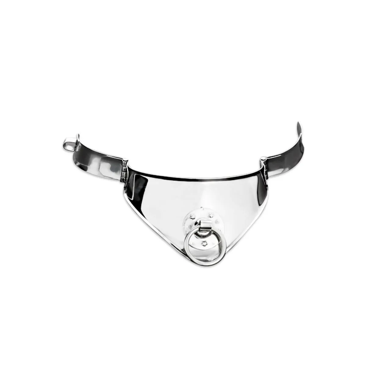 Festhaltungshalsband mit Ring und Vorhngeschloss 12,5 cm von Metal Hard | Fesselliebe.de