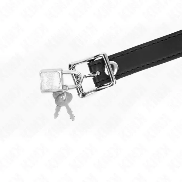 Silikonball 4 cm Knebel mit Schloss 60 X 2 cm von Kink Collar & Gag | Fesselliebe.de