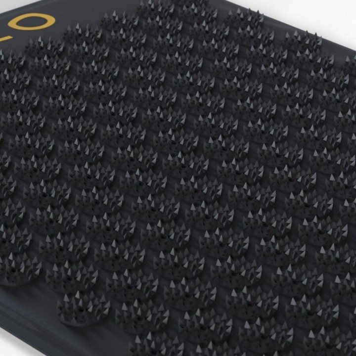 Körpermassage-Akupressurmatte Schwarz von Lelo | Fesselliebe.de