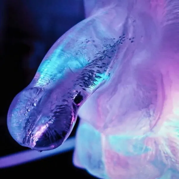 Huge Penis Ice Luge Mold von Play Wiv Me | Fesselliebe.de
