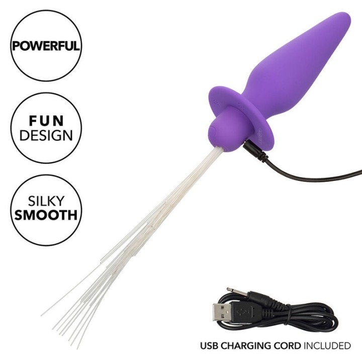 Southern Lights Light Up Leuchtende Analstecker 10 Vibrationen Silikon Lila von Calexotics | Fesselliebe.de