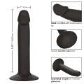 Slim Anal Stud von Calexotics