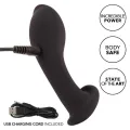Flüssigsilikon-Flex-Sonde von Calexotics