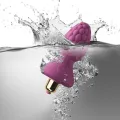 Assberries Raspberry Plug Anal von Rocks-Off