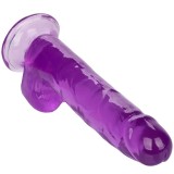 Grösse Königin-Dildo Lila 20,3 cm von Calexotics | Fesselliebe.de