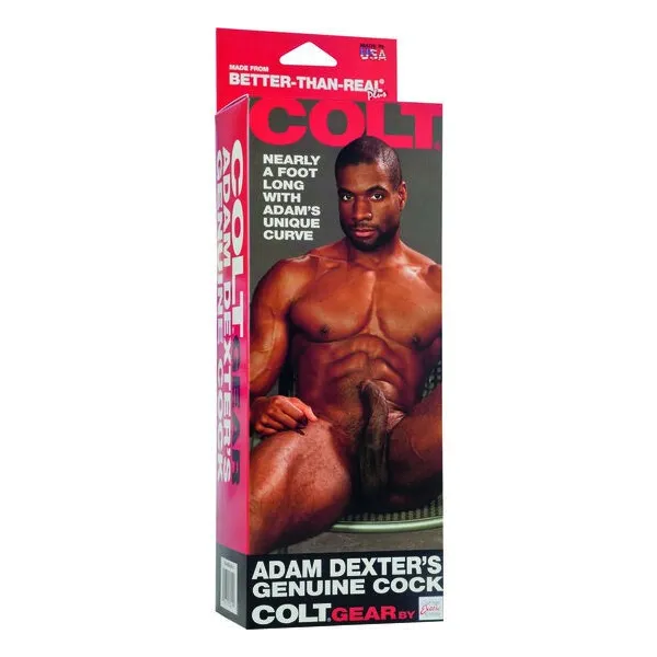 Colt Adam Dexters Hahn von Calexotics | Fesselliebe.de