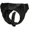 Höschen mit Plug und Auswechselbarem Dildo von Darkness Sensations