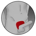 Silikon Fusion Viper Cock Shield von Electrastim