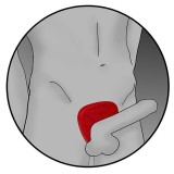 Silikon Fusion Viper Cock Shield von Electrastim | Fesselliebe.de