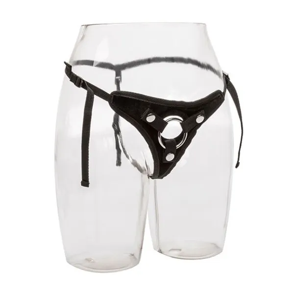 Ihr Königliches Geschirr der Prinzessin In einer Grösse von Calexotics | Fesselliebe.de