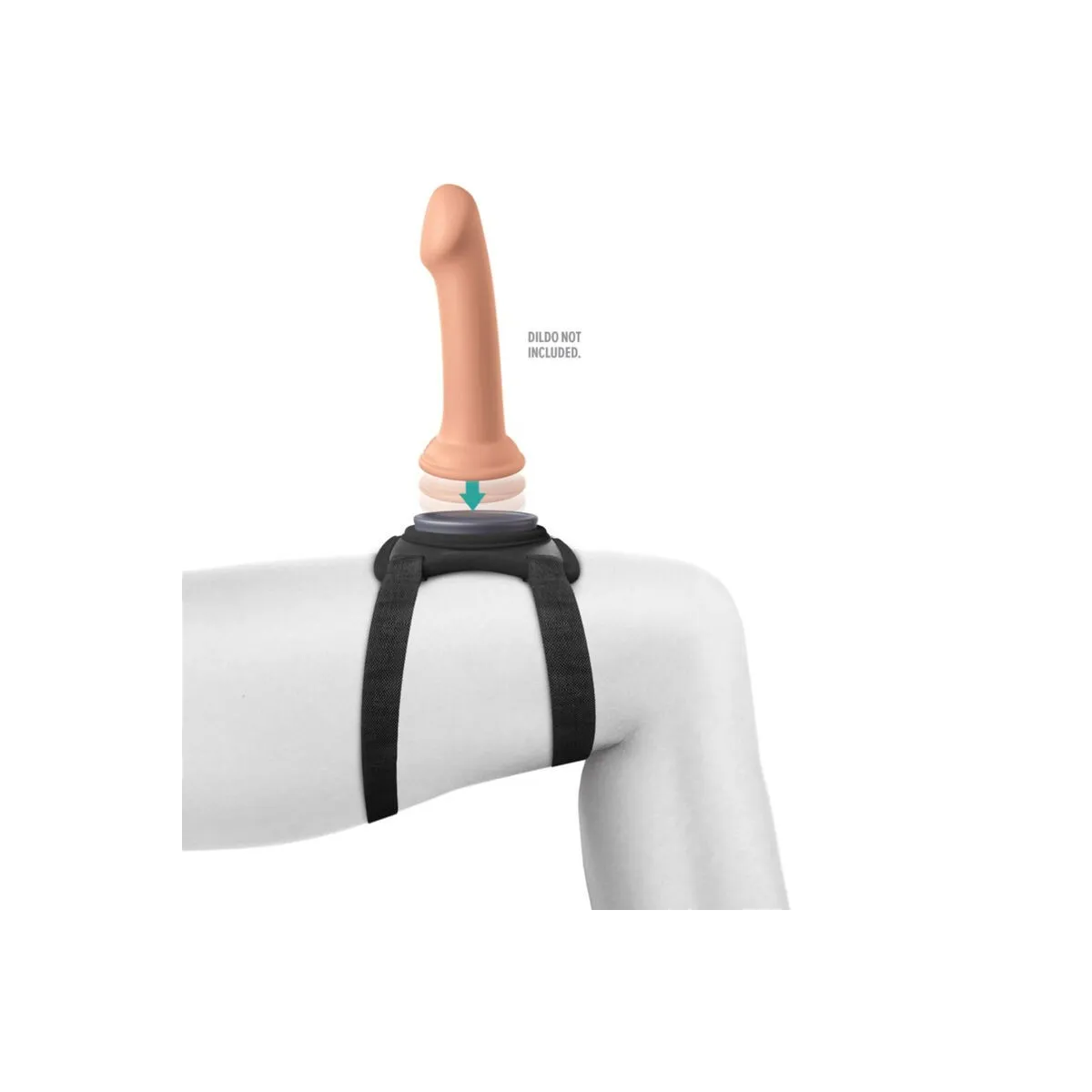 Body Dock Lap Strap-Gurt von Pipedreams | Fesselliebe.de