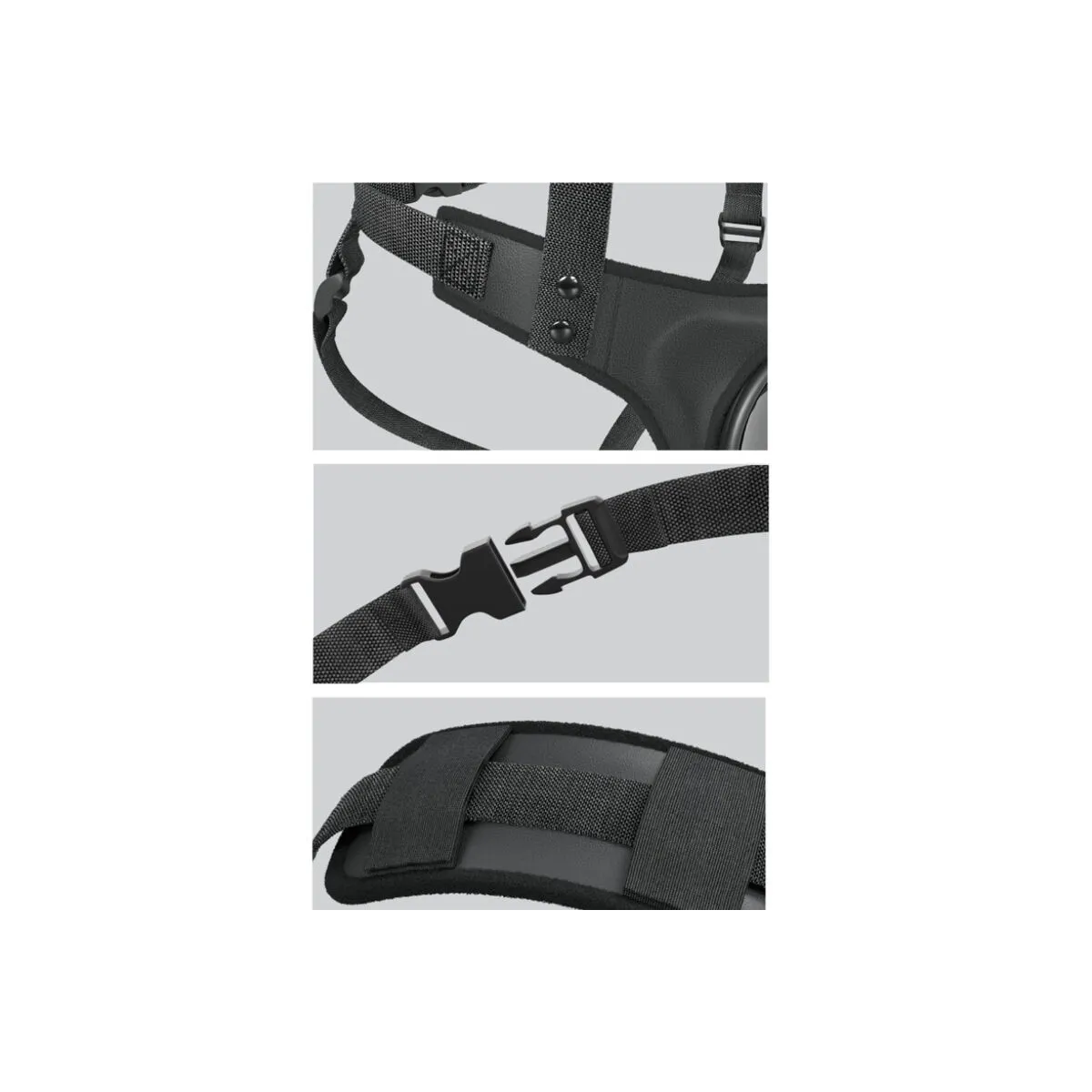 Body Dock Strap-On-Hosenträger von Pipedreams | Fesselliebe.de