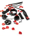 Nur für Sie Bdsm-Starter-Kit von Toyjoy
