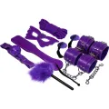 Bdsm-Fetisch-Kit Lila Serie von Experience
