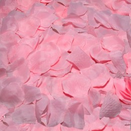100 Rosa Blütenbltter von Diablo Picante | Fesselliebe.de