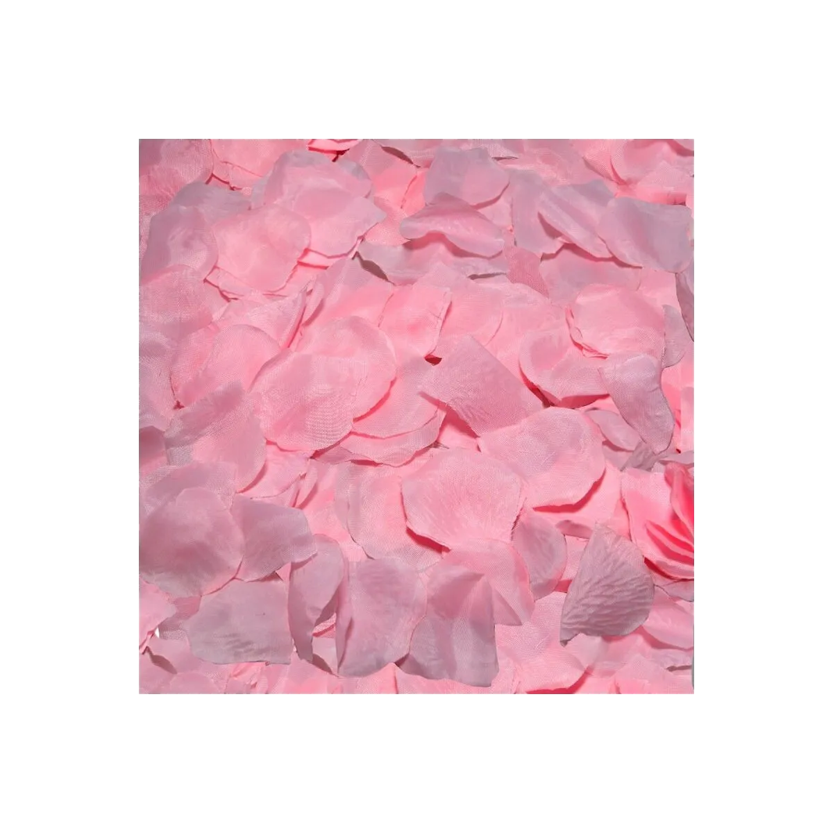 100 Rosa Blütenbltter von Diablo Picante | Fesselliebe.de