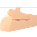 Perfect Ride Penis- und Anus-Masturbator von Pdx Plus+