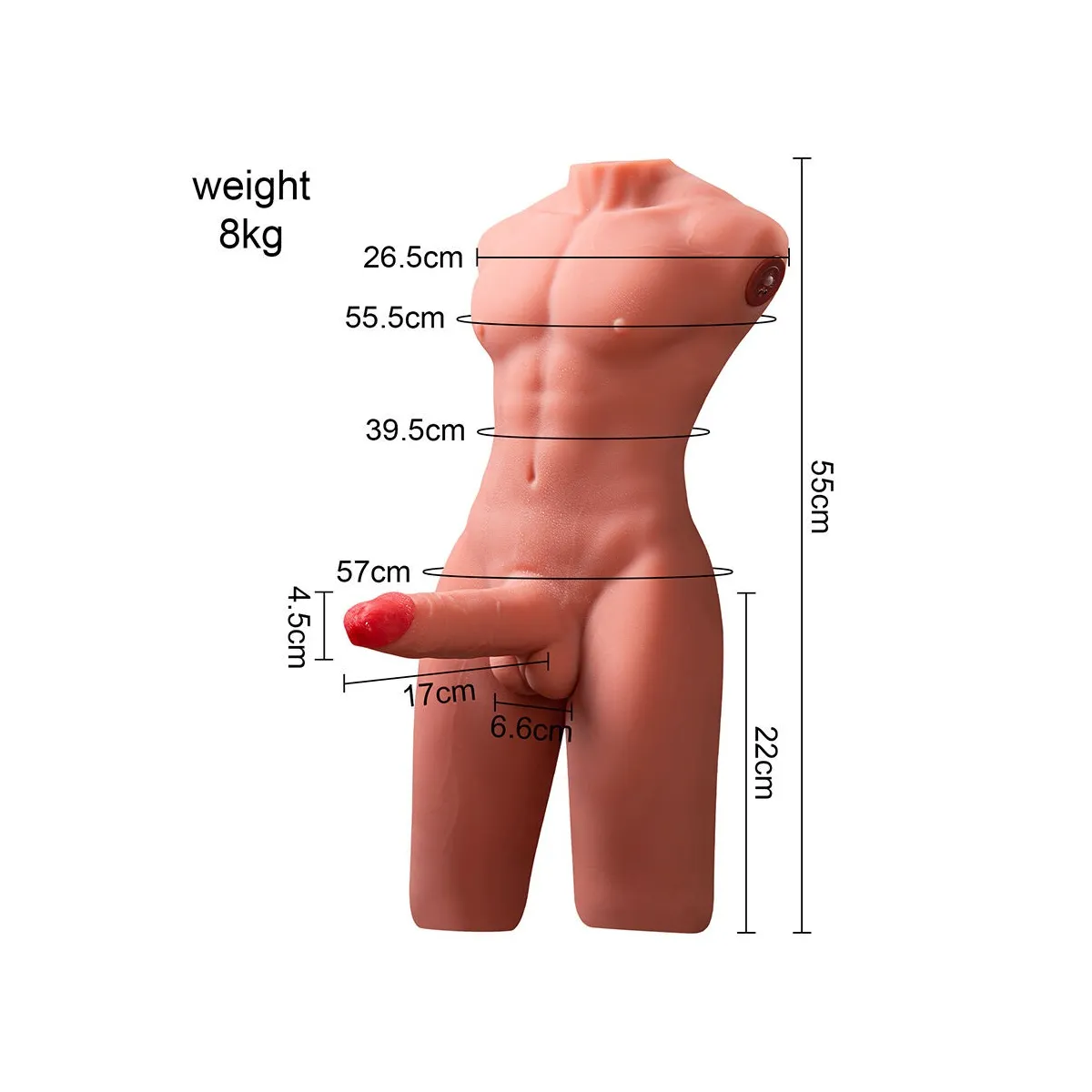 Jason Halbkörper Realistischer männlicher Torso mit Stoss- und Vibrationsmöglichkeiten 55 cm von Xise | Fesselliebe.de