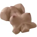 Helena natürlicher weiblicher Realistischer Torso von Silexd
