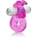 Micro Vibe Arouser Bunny von Calexotics