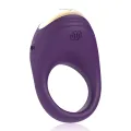 Robin Vibrierender Ring Watchme Wireless-Technologie Kompatibel von Treasure