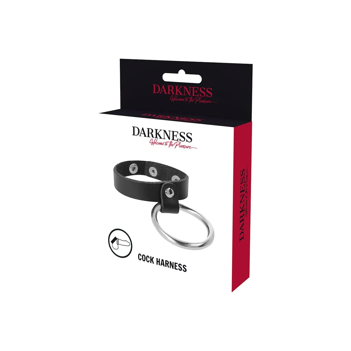 Metallring für Penis und Hoden von Darkness Bondage | Fesselliebe.de