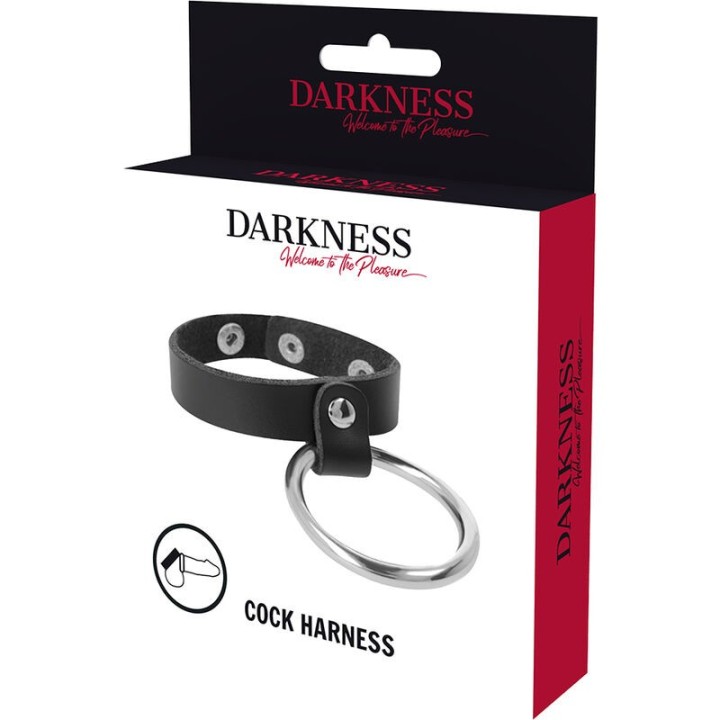 Metallring für Penis und Hoden von Darkness Bondage | Fesselliebe.de