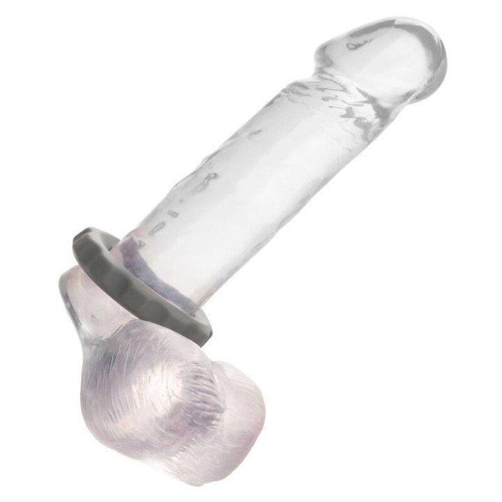 Alpha Erect Ring Grau von Calexotics | Fesselliebe.de