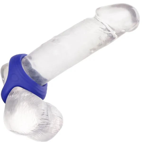 Admiral Cock Ball Dual Ring Blau von Calexotics | Fesselliebe.de