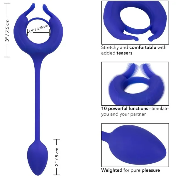 Admiral Bewichterter Hahnring Blau von Calexotics | Fesselliebe.de